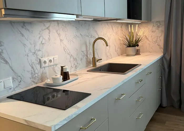 شقة Lootuse 2a تارتو